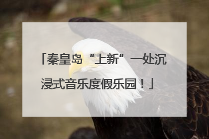 秦皇岛“上新”一处沉浸式音乐度假乐园！