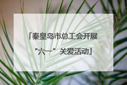 秦皇岛市总工会开展“六一”关爱活动