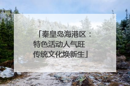 秦皇岛海港区：特色活动人气旺 传统文化焕新生