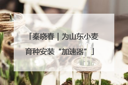 秦晓春｜为山东小麦育种安装“加速器”