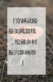穿越武陵最美风景线，绘就乡村振兴新画卷