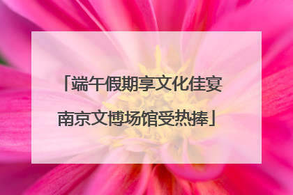 端午假期享文化佳宴 南京文博场馆受热捧