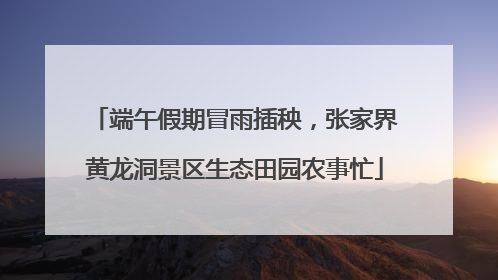 端午假期冒雨插秧，张家界黄龙洞景区生态田园农事忙