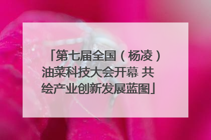 第七届全国（杨凌）油菜科技大会开幕 共绘产业创新发展蓝图