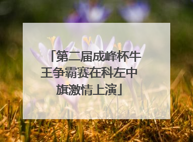 第二届成峰杯牛王争霸赛在科左中旗激情上演