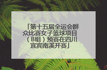 第十五届全运会群众比赛女子篮球项目（B组）预赛在四川宜宾南溪开赛