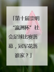 第十届崇明“瀛洲杯”社会足球比赛落幕，冠军花落谁家？