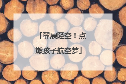 翼展陉空！点燃孩子航空梦