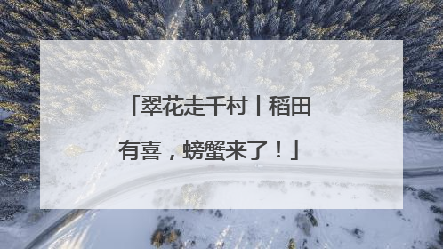 翠花走千村丨稻田有喜，螃蟹来了！
