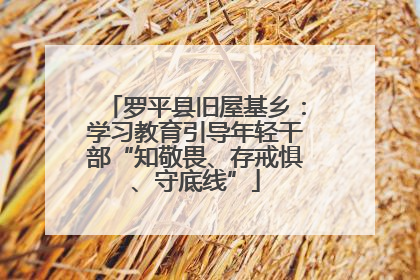 罗平县旧屋基乡：学习教育引导年轻干部“知敬畏、存戒惧、守底线”