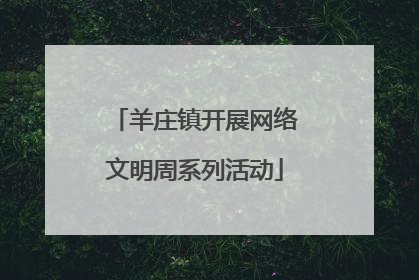 羊庄镇开展网络文明周系列活动