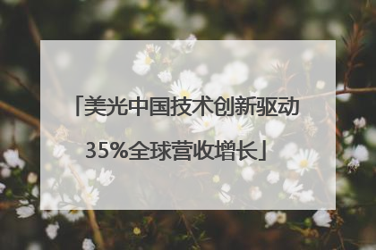 美光中国技术创新驱动35%全球营收增长