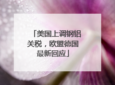 美国上调钢铝关税，欧盟德国最新回应