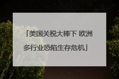 美国关税大棒下 欧洲多行业恐陷生存危机
