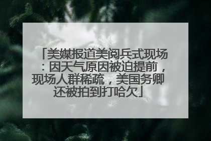 美媒报道美阅兵式现场：因天气原因被迫提前，现场人群稀疏，美国务卿还被拍到打哈欠
