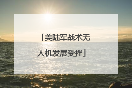 美陆军战术无人机发展受挫