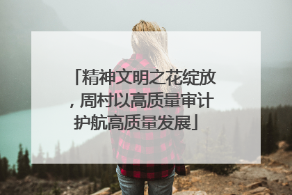 精神文明之花绽放，周村以高质量审计护航高质量发展