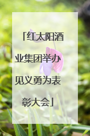 红太阳酒业集团举办见义勇为表彰大会