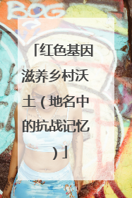 红色基因滋养乡村沃土（地名中的抗战记忆）