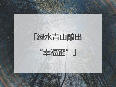 绿水青山酿出“幸福蜜”