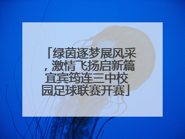 绿茵逐梦展风采，激情飞扬启新篇 宜宾筠连三中校园足球联赛开赛