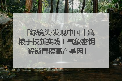 绿镜头·发现中国｜藏粮于技新实践！气象密钥解锁青稞高产基因