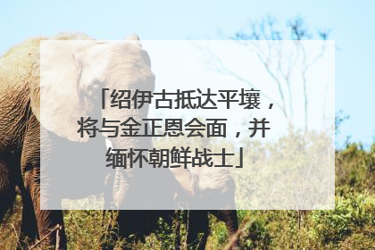 绍伊古抵达平壤，将与金正恩会面，并缅怀朝鲜战士