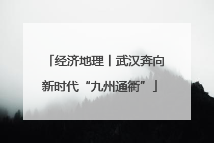 经济地理丨武汉奔向新时代“九州通衢”