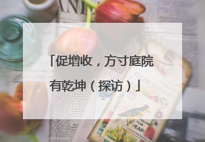 促增收，方寸庭院有乾坤（探访）