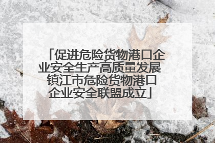 促进危险货物港口企业安全生产高质量发展 镇江市危险货物港口企业安全联盟成立