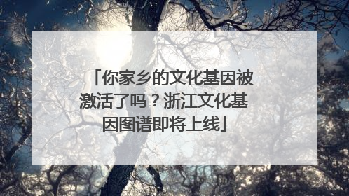 你家乡的文化基因被激活了吗？浙江文化基因图谱即将上线