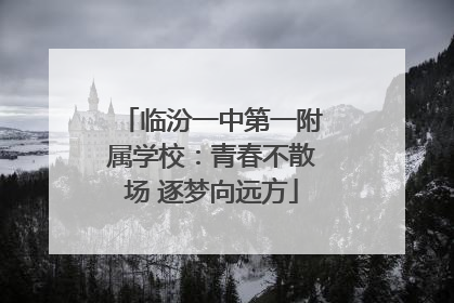 临汾一中第一附属学校：青春不散场 逐梦向远方
