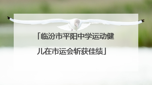 临汾市平阳中学运动健儿在市运会斩获佳绩