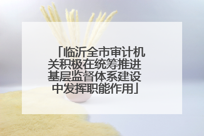 临沂全市审计机关积极在统筹推进基层监督体系建设中发挥职能作用