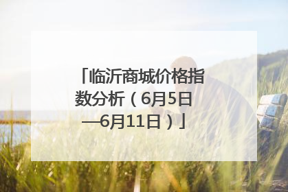 临沂商城价格指数分析（6月5日—6月11日）