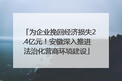 为企业挽回经济损失2.4亿元！安徽深入推进法治化营商环境建设