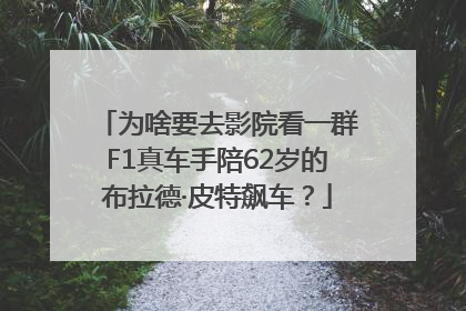 为啥要去影院看一群F1真车手陪62岁的布拉德·皮特飙车？