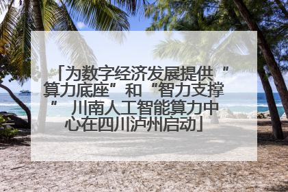 为数字经济发展提供“算力底座”和“智力支撑” 川南人工智能算力中心在四川泸州启动