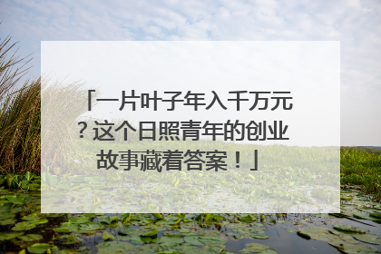一片叶子年入千万元？这个日照青年的创业故事藏着答案！