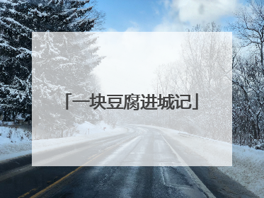 一块豆腐进城记