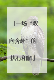 一场“双向奔赴”的执行和解