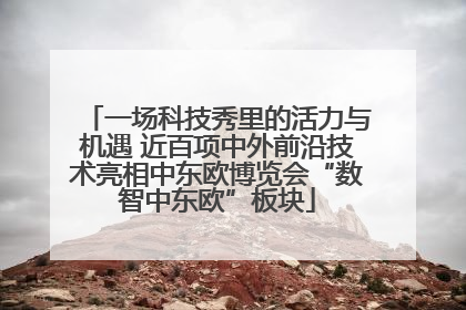 一场科技秀里的活力与机遇 近百项中外前沿技术亮相中东欧博览会“数智中东欧”板块