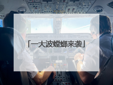 一大波螳螂来袭