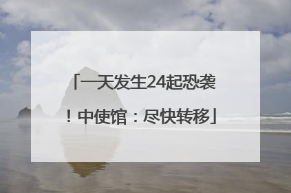 一天发生24起恐袭！中使馆：尽快转移