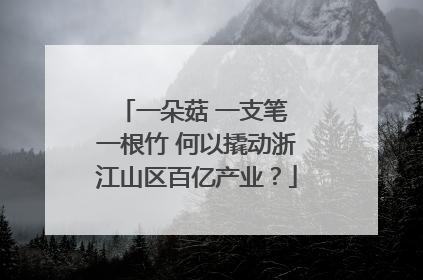 一朵菇 一支笔 一根竹 何以撬动浙江山区百亿产业？