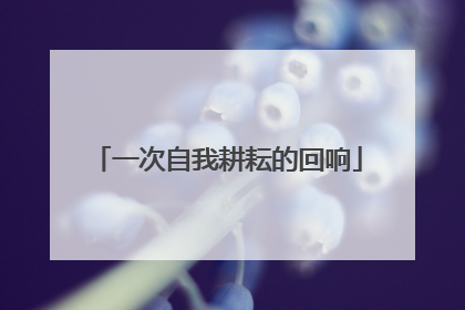 一次自我耕耘的回响