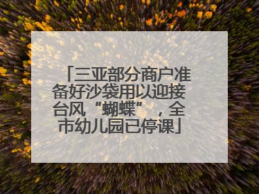 三亚部分商户准备好沙袋用以迎接台风“蝴蝶”，全市幼儿园已停课