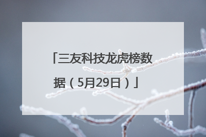 三友科技龙虎榜数据（5月29日）