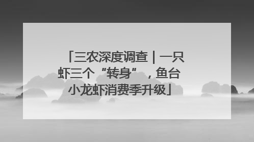 三农深度调查｜一只虾三个“转身”，鱼台小龙虾消费季升级