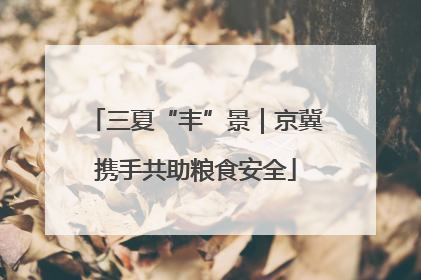 三夏“丰”景｜京冀携手共助粮食安全